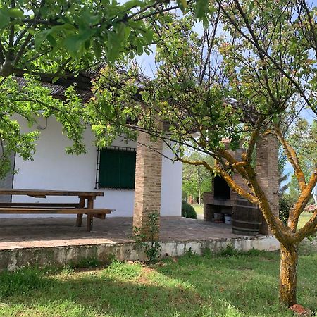 Gran Casa, Lagunas De Ruidera, Bbq, Porche, Chimenea Exteriör bild