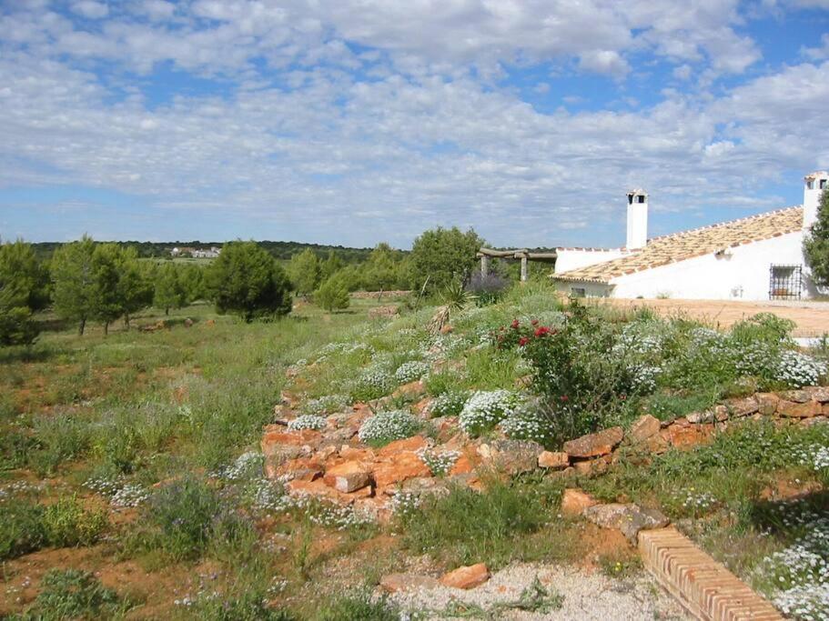 Gran Casa, Lagunas De Ruidera, Bbq, Porche, Chimenea Exteriör bild