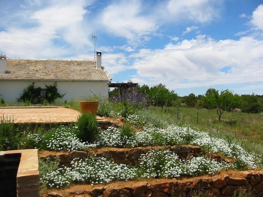 Gran Casa, Lagunas De Ruidera, Bbq, Porche, Chimenea Exteriör bild