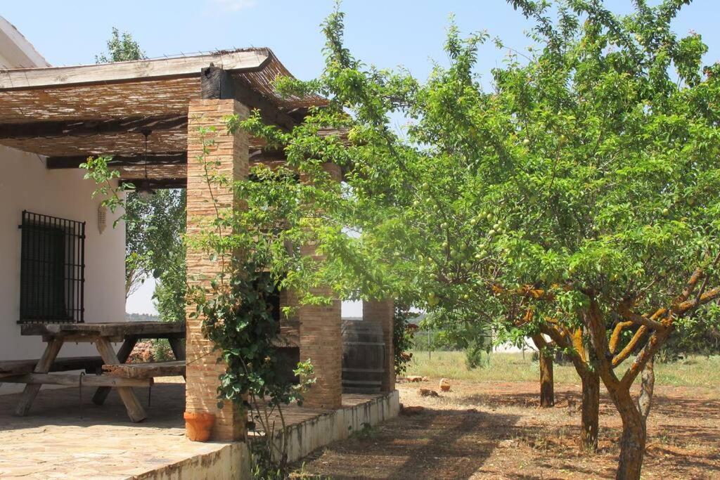 Gran Casa, Lagunas De Ruidera, Bbq, Porche, Chimenea Exteriör bild